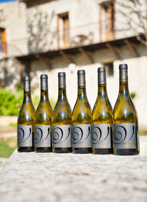 Carton de 6 bouteilles - Vin Blanc 1582 du Domaine de Verchant